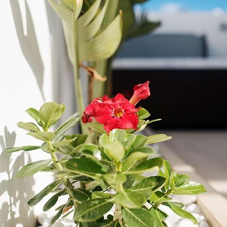 Villa Palmera Jacuzzi 雅伊萨 外观 照片